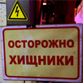 «Тигриные» истории