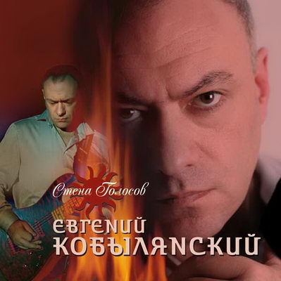 «Стена голосов» Евгения Кобылянского